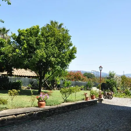 Quintinha D'avo לינה וארוחת בוקר 3*