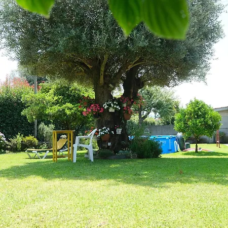 住宿加早餐酒店 Quintinha D'avo