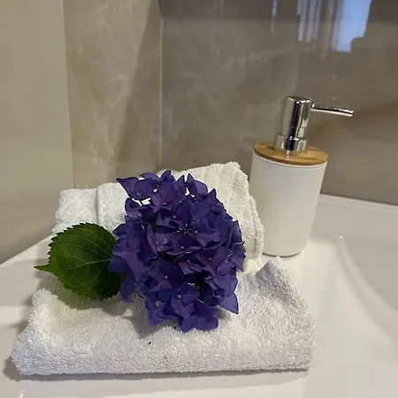 Quintinha D'avo 3*