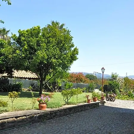 Quintinha D'avo
